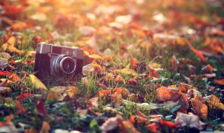Картинка Old Camera On Green Grass And Autumn Leaves для андроида