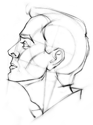 A finished side view of head drawing